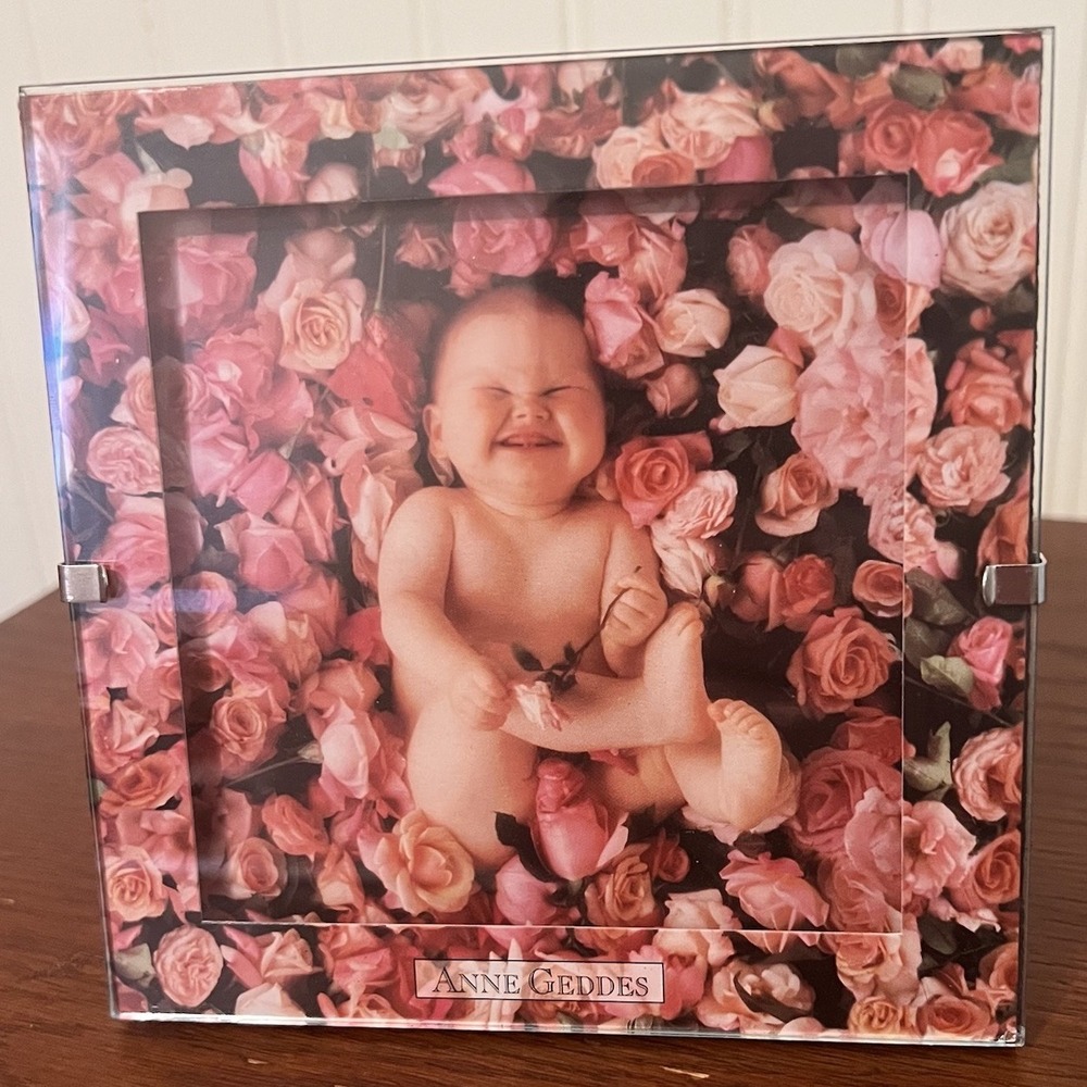 Vintage 1997 Anne Geddes Down‎ In The Garden Roses Framed Photo Print  5" x 5"